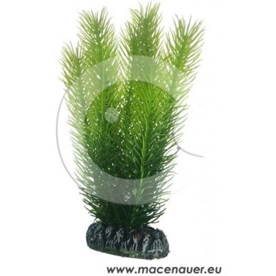 Hobby plastová rostlina Mayaca 16 cm – Zboží Mobilmania