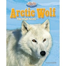 Arctic Wolf: The High Arctic DeLallo Laura Library Binding