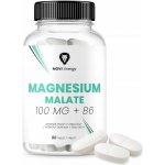 MOVit Magnesium Malate 100 mg + B6, 90 tablet – Hledejceny.cz