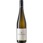 Weingut Gerhard Gruner Veltliner WEINZAPFL Veltlínské zelené 2,3 g/l suché bílé 2025 12,5% 0,75 l (holá láhev) – Hledejceny.cz