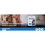 Frontline Spot-On Dog XL 40-60 kg 1 x 4,02 ml – Hledejceny.cz