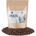 Brazil Santos 100% Arabika zrnková 250 g – Hledejceny.cz