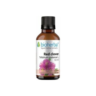 Bioherba Ďatelina lúčna kvapky tinktúra 50 ml – Hledejceny.cz