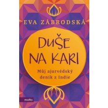 Duše na kari - Eva Zábrodská