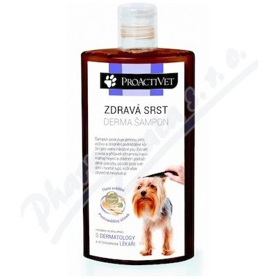 Proactivet Zdravá srst Derma šampon 250 ml – HobbyKompas.cz