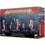 GW Warhammer Daughters of Khaine Melusai – Hledejceny.cz