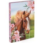 Karton P+P A4 Kůň Koně 3-74123 – Zboží Mobilmania