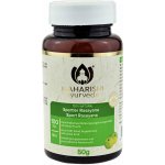 Maharishi Ayurveda BIO Sport Rasayana 100 tablet – Hledejceny.cz