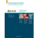 Traumatologie hrudníku v instruktivních kazuistikách