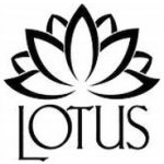 D.I.D Řetěz 520V 114 – Hledejceny.cz