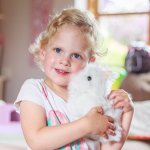 Mac Toys Chodící kočička – Zbozi.Blesk.cz