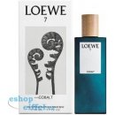 Parfém Loewe 7 Cobalt parfémovaná voda pánská 100 ml