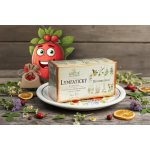 Grešík Lymfatický Devatero bylin 20 x 1,5 g – Zboží Dáma Grešík Lymfatický Devatero bylin 20 x 1,5 g – Zboží Dáma