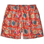 Patagonia Baggies shorts 5 – Sleviste.cz