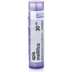 APIS MELLIFICA POR 30CH GRA 1X4G – Hledejceny.cz