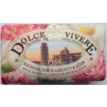 Nesti Dante Dolce Vivere mýdlo Pisa 250 g – Hledejceny.cz