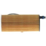 Bosch olejový filtr F 026 407 205 – Hledejceny.cz