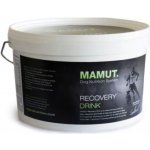Mamut Recovery Drink 2 kg – Hledejceny.cz