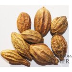 Rymer vykuřovadla Vrcholák Arjuna celý plod 20 g – Sleviste.cz