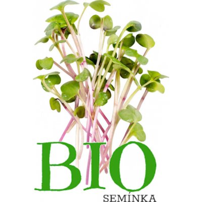 Ředkvička China rose – BIO semínka na klíčení 20g – Zbozi.Blesk.cz