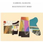 Gabriel Kahane - Magnificent Bird LP – Sleviste.cz