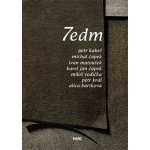 7edm 2011 Miloš Vodička – Hledejceny.cz