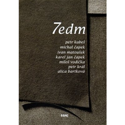 7edm 2011 Miloš Vodička – Hledejceny.cz