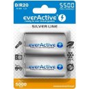 EverActive Silver Line D 5500 mAh 2ks EVHRL20-5500