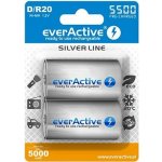 EverActive Silver Line D 5500 mAh 2ks EVHRL20-5500 – Zboží Živě