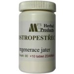 MedinTerra Ostropestřec 100 tablet – Hledejceny.cz