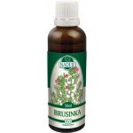 Naděje Brusinka tinktura z pupenů rostlin 50 ml – Hledejceny.cz