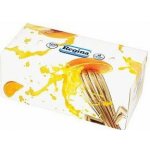 Regina papírové kapesníčky mix 4-vrstvé 96 ks – Zboží Dáma