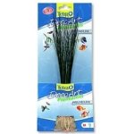 Tetra Hairgrass M 24 cm – Hledejceny.cz