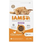 IAMS Cat Adult Herbcontrol chicken 3 kg – Hledejceny.cz