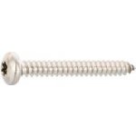 DIN7981C 2.9X 16 Torx10 vrut do plechu s čočkovou hlav. z ušlecht. oceli A2 (1000 ks) – Hledejceny.cz