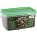 Diversa Nutriplant 10 l