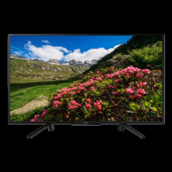 Sony Bravia KDL-43RF455