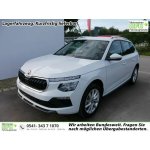 Skoda Kamiq 1.5 TSI DSG 110 kW – Hledejceny.cz