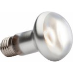 Hagen Day Glo Tight Beam 50 W – HobbyKompas.cz