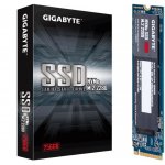 Gigabyte 256GB, GP-GSM2NE3256GNTD – Zboží Živě