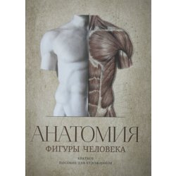 Анатомия фигуры человека / Anatomy Human Figure Guide for Artists in Russian language
