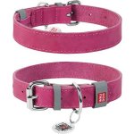 CoLLaR Obojek kožený WAUDOG Classic – Zbozi.Blesk.cz