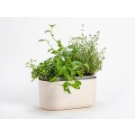 Plastia Samozavlažovací truhlík Tolita 31 x 16 cm béžová – Zbozi.Blesk.cz