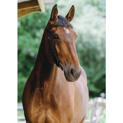 bez nánosníku NORTON Freedom černá FULL – Zboží Dáma