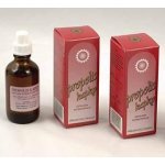 Vcelpo Propolis kapky 50 ml – Hledejceny.cz