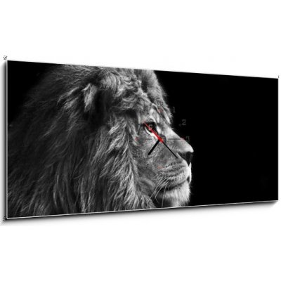 Obraz s hodinami 1D panorama - 120 x 50 cm - Stunning facial portrait of male lion on black background in bla Ohromující obličej portrét lva na černém pozadí v bla