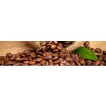 DIMEX KI260-006 Samolepící fototapeta do kuchyně Coffee rozměry 260 x 60 cm – Zboží Dáma