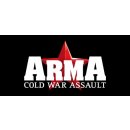 Hra na PC Arma: Cold War Assault