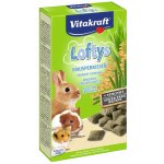 Vitakraft Rodent Lofty´s all rodent 100 g – Sleviste.cz