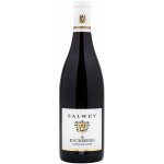 Weingut Salwey Rulandské modré / Spätburgunder / Pinot Noir červené 2020 13,5% 0,75 l (holá láhev) – Zboží Mobilmania